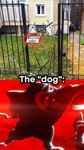 Beware of “dog” ☠️ #meme #memes #dog #death | Kadz