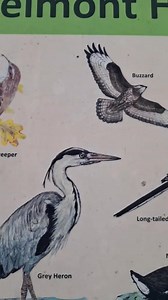 11 comments | Part 2 continuation of mr splash vlogs | MisterMisis Splash Vlogs | Facebook