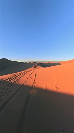 Golden waves of sand as far as the eye can see… ✨ The magical dunes of Erg Chigaga remind us how vast, peaceful, and timeless the Sahara truly is. Here, silence speaks, the wind paints the dunes, and every step feels like walking through a dream. #ergchigaga #saharavibes #moroccodesert #goldendunes #moroccoshinydays | Morocco Shiny Days
