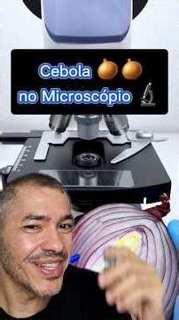 See what an Onion looks like under a Microscope and why it is Purple!!! #curiosities #microscope ...