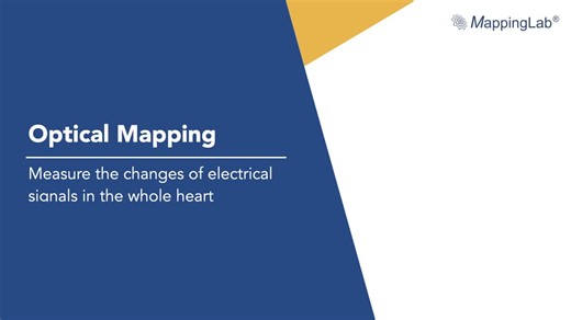 Optical Mapping for Cardiac Research: A Brief Overview | MappingLab posted on the topic | LinkedIn