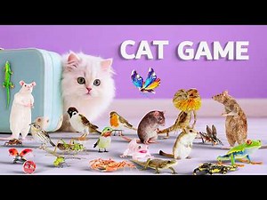CAT GAMES | Ultimate 3D Game for Cats to Watch – Best CAT TV Compilation ! 😻 4K60FPS