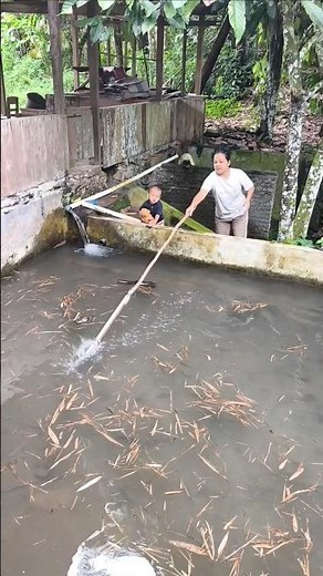 The fish is crying #sad