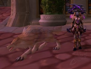 Don Carlos' Famous Hat