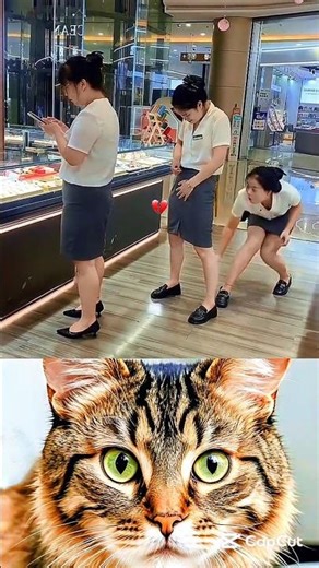 #helloneighbor #trollface #catbombastic