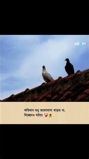 অভিমান শুধু ভালোবাসা বাড়ায় না,বিচ্ছেদও ঘটায়!😅 #viralvideo #shortvideo #sadstatus #tangail #missyou