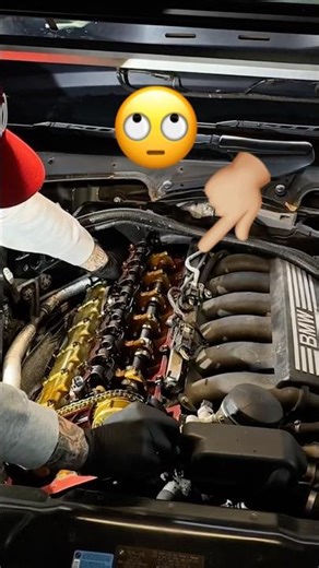 BMW n51 Most common oil leak 👀