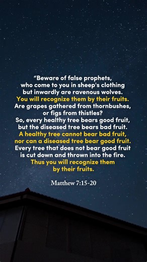 📖 “Beware of false prophets, who come to you in sheep's clothing but inwardly are ravenous wolves. You will recognize them by their fruits. Are grapes gathered from thornbushes, or figs from thistles? So, every healthy tree bears good fruit, but the diseased tree bears bad fruit. A healthy tree cannot bear bad fruit, nor can a diseased tree bear good fruit. Every tree that does not bear good fruit is cut down and thrown into the fire. Thus you will recognize them by their fruits. Matthew 7:15-2