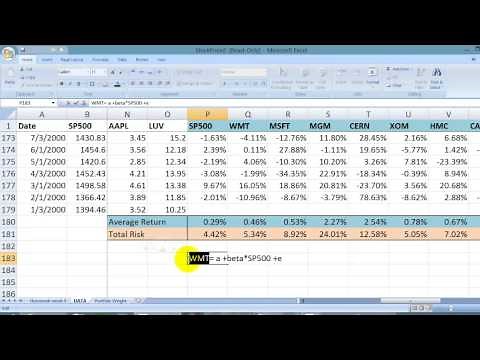 Portfolio return and beta