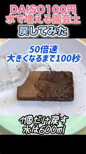 水で戻す土【DAISO水で増える園芸土】#ダイソー植物 #購入品紹介 #観葉植物の土 #園芸土 #観葉植物 #植え替え #植物のある暮らし