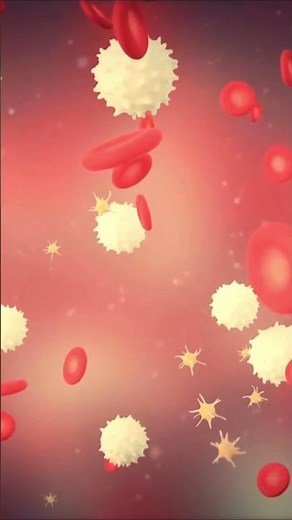 WHAT ARE PLATELETS AND WHAT ARE THEY FOR?