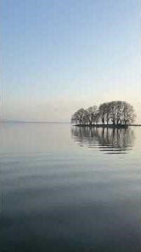 When Lake Geneva 🇨🇭Looks Like a Dream #switzerland #travel
