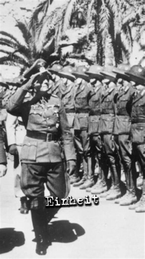 Der wahre Grund.#history #ww2 #ww2rebuilder #stadtgeschichte #geschichte#wissen#fakten #news#deutsch