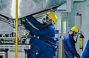 Mold Cleaning Dubai | Mold Removal Remediation Services UAE