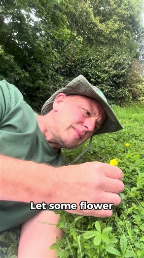 How to Live With Clover in the Lawn