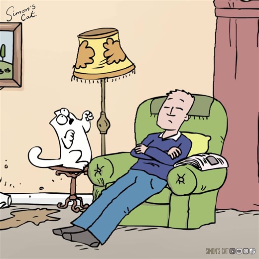 Simon's Cat on Instagram: "One fly against the cat! 🪰😺"