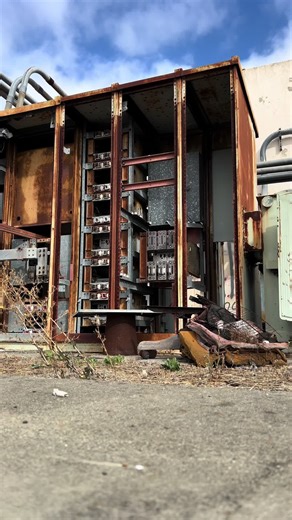 Celebrating 200 Days of Uplifting Meditation