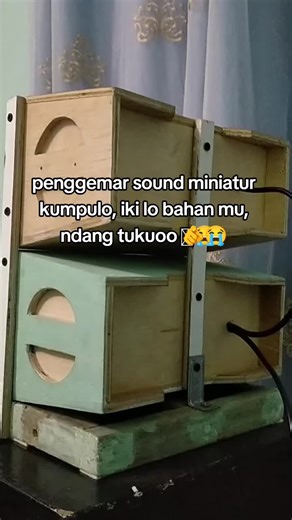 Box Speaker and Tweeter: Enhance Your Mini Sound System