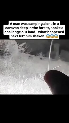 Scary_Encounter5 on Instagram: "While camping alone in a caravan in a deep forest in Indonesia, a place long believed by locals to be haunted, this man decided to do something unusual. The night was calm at first. Cold wind, silent trees, and nothing but darkness around him. Then, out of curiosity, he spoke out loud, almost jokingly, as if challenging the guardian of the forest: “If there’s really something, show yourself.” A few moments later, he checked the CCTV camera outside the caravan. And