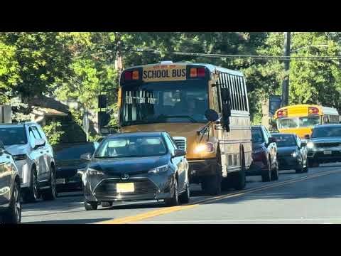 George Dapper, Inc. Thomas Saf-T-Liner C2 #787 & Villani Bus Company 2016 Blue Bird Vision #254