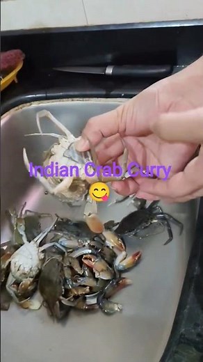 Fresh Crabs Cleaning & Preparation | Crab Cooking Process Step by Step | Seafood Lovers Special🦀