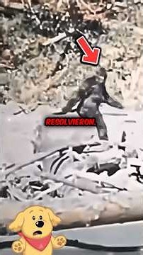 INSANE MYSTERIES you NEVER KNEW were ALREADY SOLVED! #mystery #viral #shorts