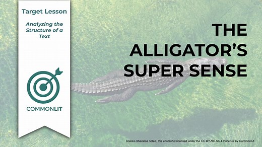 Target Lesson: The Alligator's Super Sense