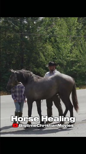 Horse Healing now available on Bigtime - Christian Movies!