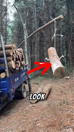 One Man Lifts a Huge Log Using a Simple Lever. #shorts
