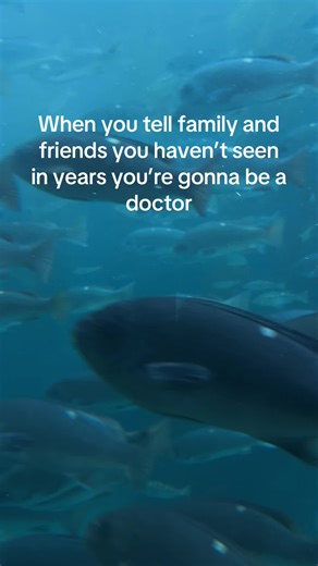 Becoming a Doctor: The Journey Through Med School