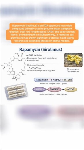 Rapamycin (sirolimus) is an FDA-approved macrolide compound