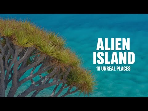 Socotra – The Most Alien Island on Earth (10 Places You Won’t Believe Are Real)