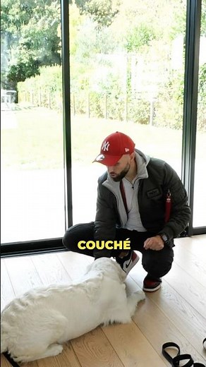 How do I teach my puppy to lie down?