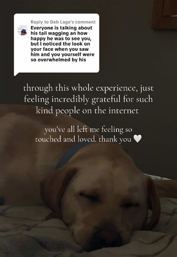 Replying to @Deb Lage the internet is a scary place, but im lucky to have found the kindest people on it! :’) i may not deserve it, but banjo does!!