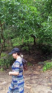 The beauty of dibulo falls in Denapigue Isabela Pinaka mataas na falls ng Isabela @highlight #teambryan #NatureLovers #explore #fypシ゚ #falls | Ronalyn Dagondon Luma-as