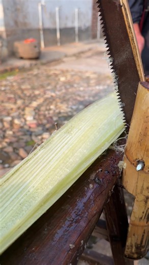 Process Point on Instagram: "Handcrafted Precision: The Art of Shredding Banana Stems for Paper Making 🌿✨ #TraditionalCrafts #SustainableLiving #EcoFriendlyPaper #ArtisanalSkills #HandmadeProcess #ZeroWaste #NatureInspired #Craftsmanship #SustainableTech #PaperMaking"