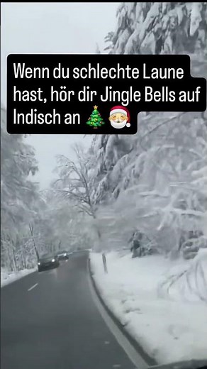 Jingle Bells auf Indisch #songs #weihnachten #jinglebells #funnyshorts #funny