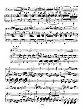 Beethoven Violin sonata no 1 Op 12 no 1 mp4