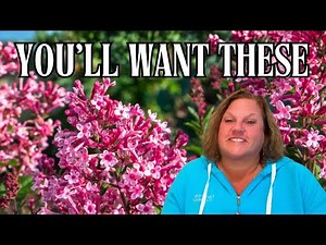 12 GREAT Underrated Plants Revealed | Hidden Gems For Every Garden