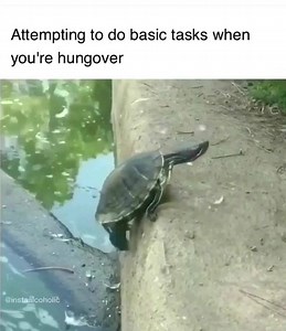 Earl Dibbles Jr on Reels