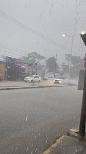 631K views · 8.8K reactions | Esta lloviendo Va cae topen, pejelagarto y pochitoque #fblifestyle #lluvia #tabasco | Contexto Tabasqueño | Facebook