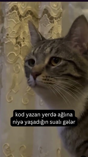 belədə olur #coding #akl