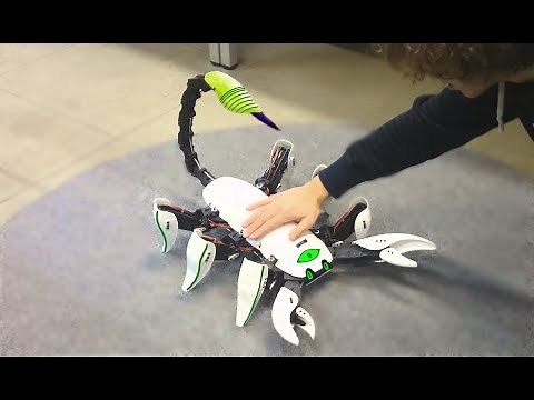 8 Coolest INSECT Robot Toys which Actually Exist ▶ 4