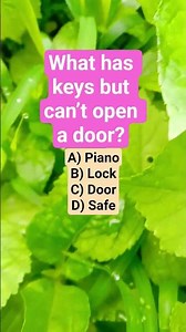 What has keys but can’t open a door?