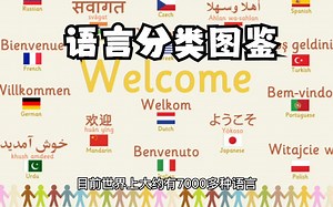 语言分类图鉴