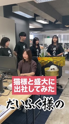猫様が盛大に出社してみた #猫と暮らす #猫 #猫のいる暮らし #出社シリーズ この物語はUI銀行猫好きチームが制作したフィクションです。