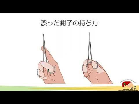 イラストと動画で学ぶ軟部外科シリーズ 鑷子や鉗子の持ち方編