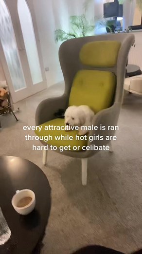 Exploring Female Supremacy in Today's Society