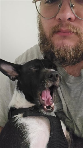 Blakeyboy (@blakeybusenbark)’s videos with original sound - BG❤️