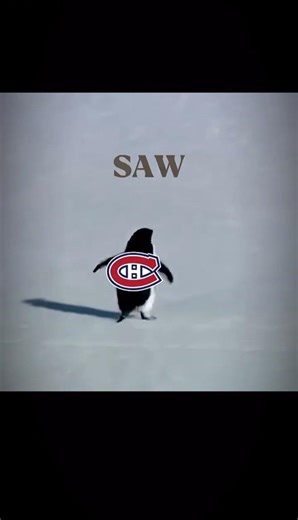 The Penguins (HABS ÉDITION)